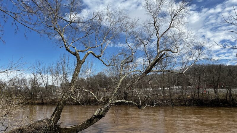 French Broad River Park - Asheville, NC