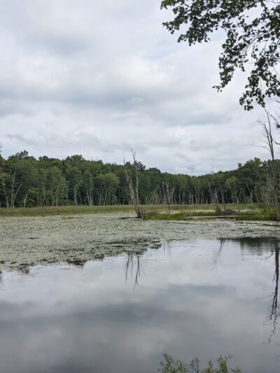 Ashford - Ashford, CT