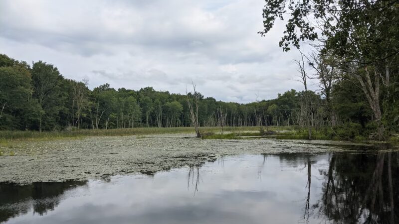 Ashford - Ashford, CT