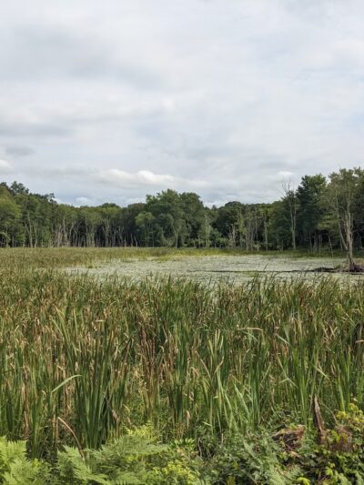 Ashford - Ashford, CT