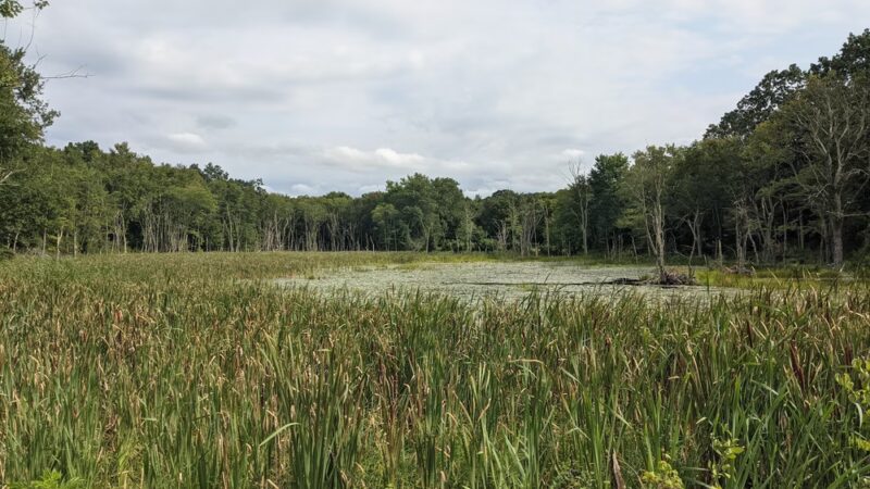 Ashford - Ashford, CT