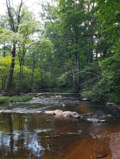 Ashford Memorial Park - Ashford, CT
