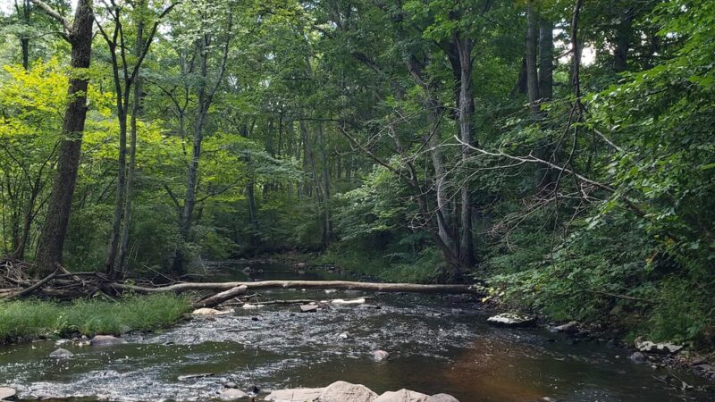 Ashford Memorial Park - Ashford, CT