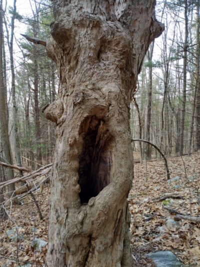 Josias Byles Santuary - Ashford, CT