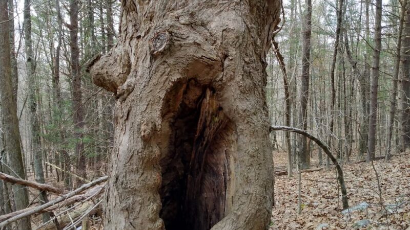 Josias Byles Santuary - Ashford, CT