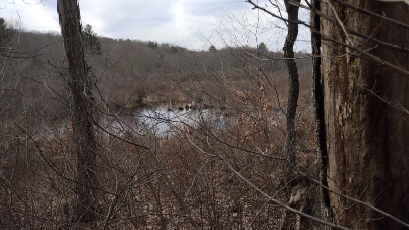 Josias Byles Santuary - Ashford, CT