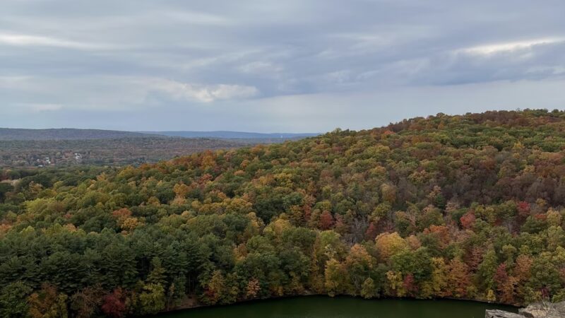 Nipmuck trail - Ashford, CT