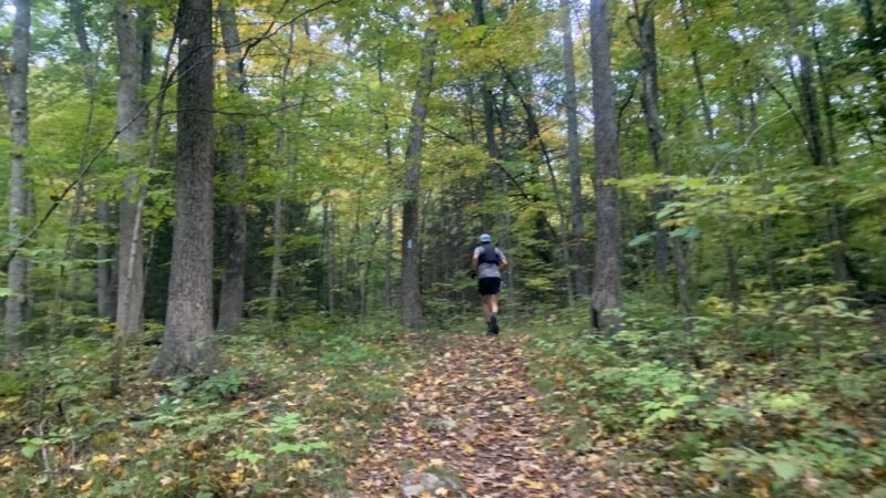 Nipmuck trail - Ashford, CT