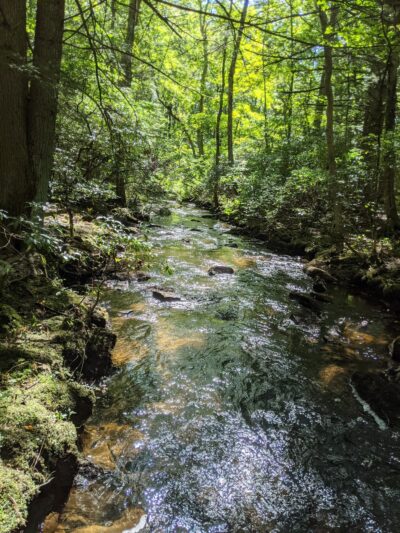 Nipmuck trail - Ashford, CT