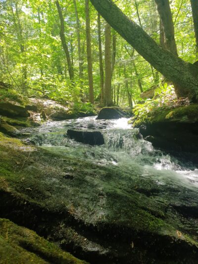Pixie Falls and Ladies Room Rock trailhead - Ashford, CT