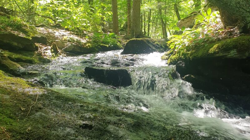 Pixie Falls and Ladies Room Rock trailhead - Ashford, CT