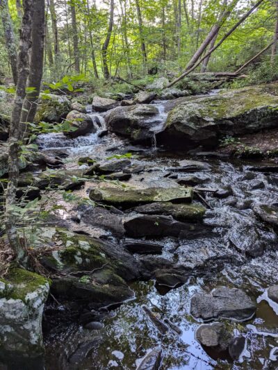 Pixie Falls and Ladies Room Rock trailhead - Ashford, CT