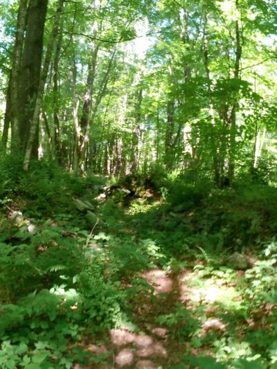 Pixie Falls and Ladies Room Rock trailhead - Ashford, CT