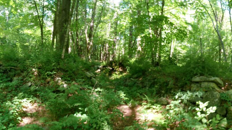 Pixie Falls and Ladies Room Rock trailhead - Ashford, CT