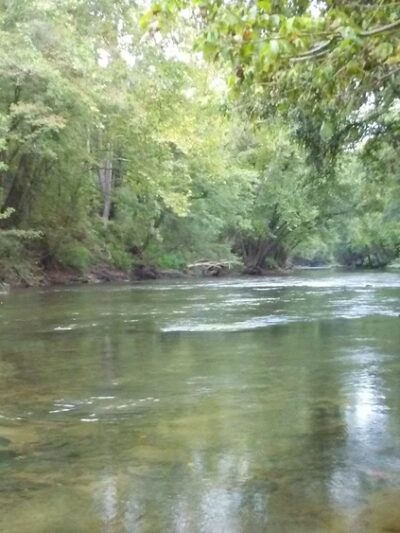 Dartmont Park - Ashford, WV