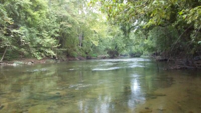 Dartmont Park - Ashford, WV