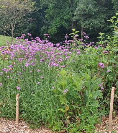 Chester County Parks - Atglen, PA
