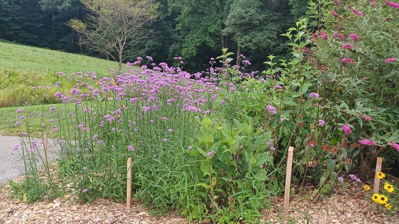 Chester County Parks - Atglen, PA