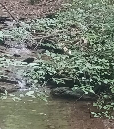 Chester County Parks - Atglen, PA