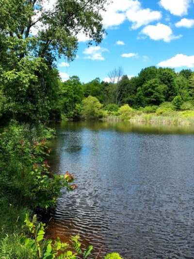 Round Top Park Recreation Area - Athens, PA
