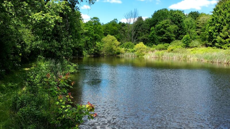 Round Top Park Recreation Area - Athens, PA