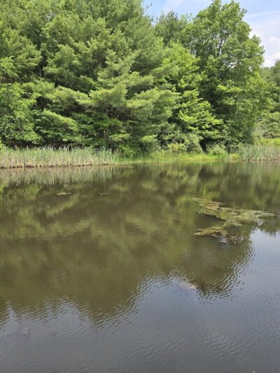 Round Top Pond - Athens, PA