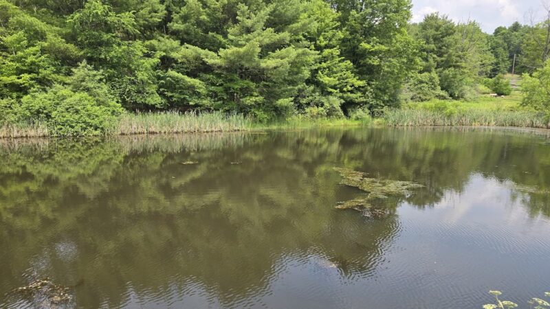 Round Top Pond - Athens, PA