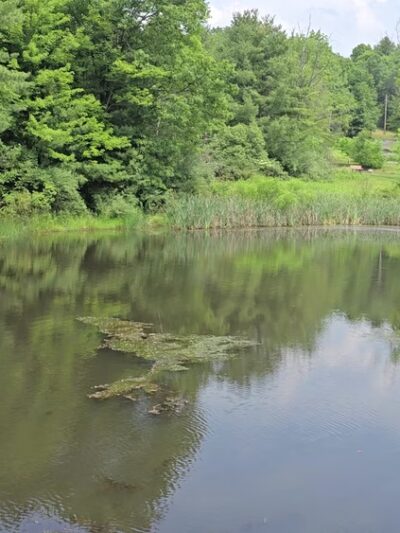 Round Top Pond - Athens, PA