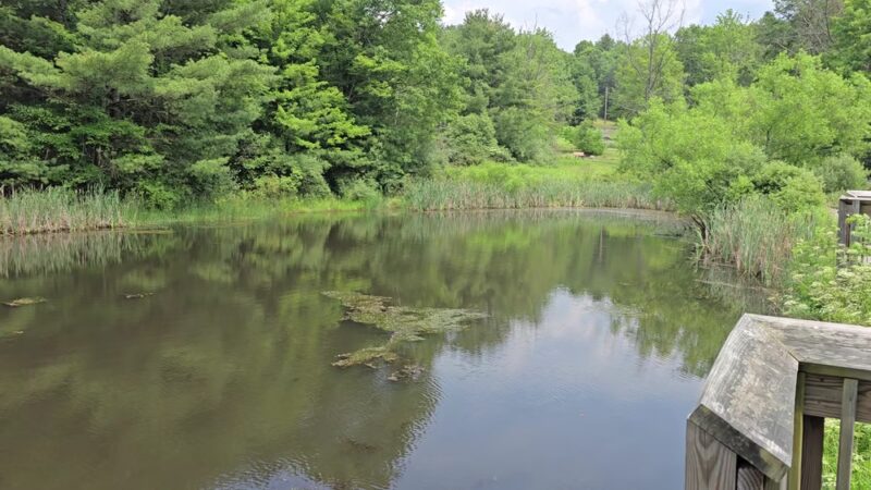 Round Top Pond - Athens, PA