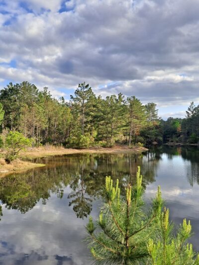 Coleman Park - Athens, TX