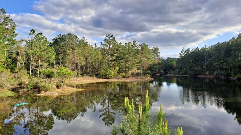 Coleman Park - Athens, TX