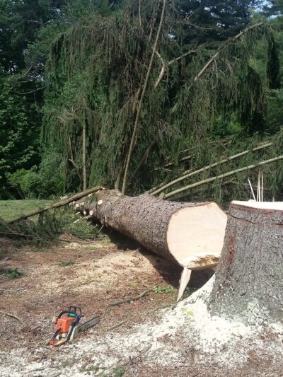 Athens Park - Athens, WV