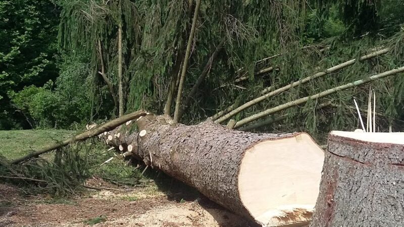 Athens Park - Athens, WV