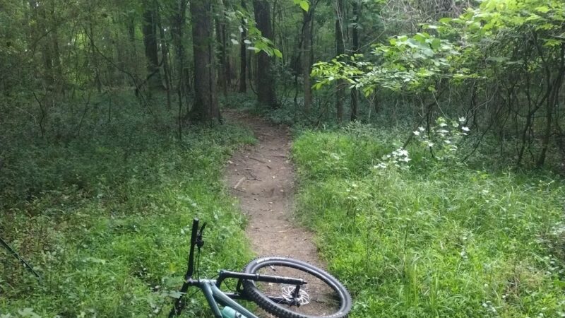 Southside Park - Atlanta, GA