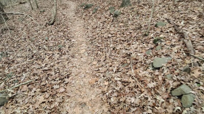 Southside Park - Atlanta, GA