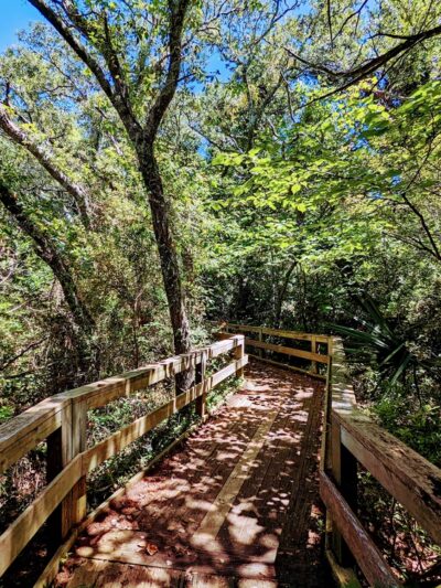 Hoop Pole Creek Nature Trail - Atlantic Beach, NC