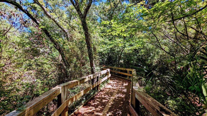 Hoop Pole Creek Nature Trail - Atlantic Beach, NC