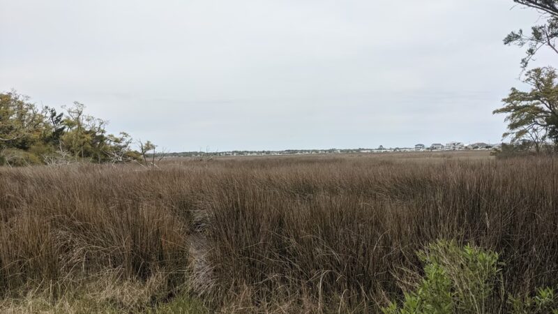 Hoop Pole Creek Nature Trail - Atlantic Beach, NC