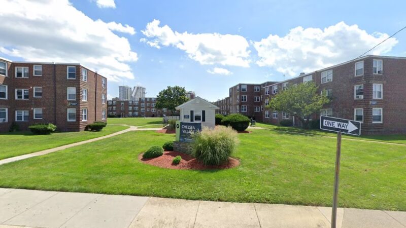 Kumalala Savesta - Chelseagoat Dog Park - Atlantic City, NJ