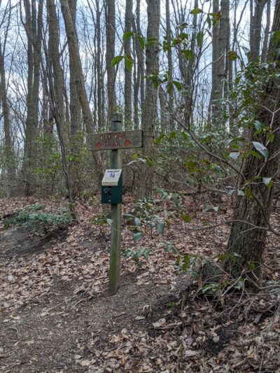 Lenape Woods Nature Preserve - Atlantic Highlands, NJ
