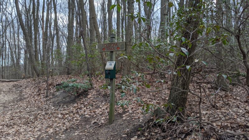 Lenape Woods Nature Preserve - Atlantic Highlands, NJ