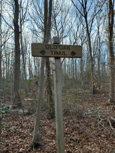 Lenape Woods Nature Preserve - Atlantic Highlands, NJ