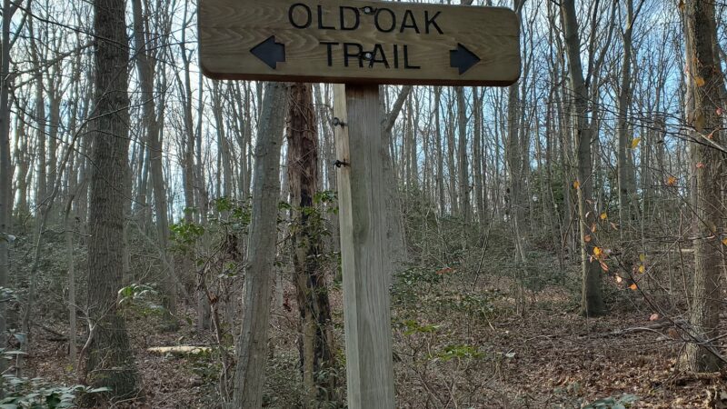 Lenape Woods Nature Preserve - Atlantic Highlands, NJ