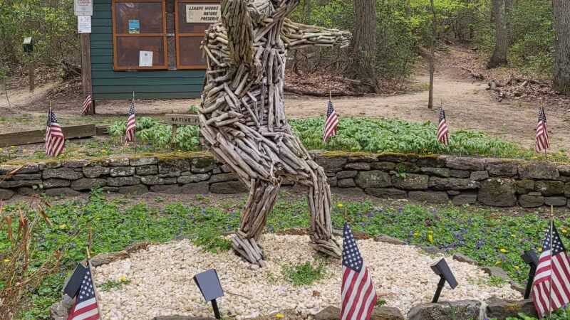 Lenape Woods Nature Preserve - Atlantic Highlands, NJ