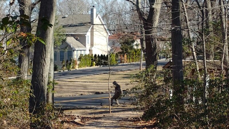 Lenape Woods Nature Preserve - Atlantic Highlands, NJ