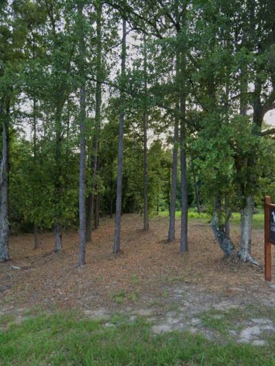 Long Dog RV Park - Atmore, AL