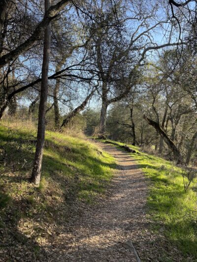 Canyon View Preserve - Auburn, CA