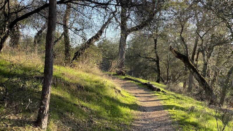 Canyon View Preserve - Auburn, CA