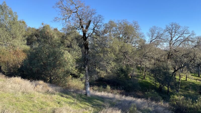 Canyon View Preserve - Auburn, CA