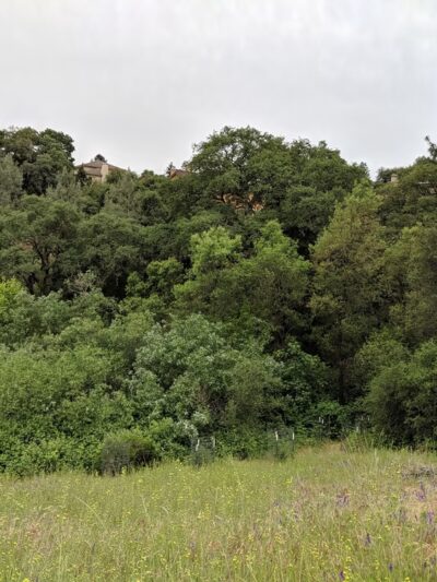 Canyon View Preserve - Auburn, CA